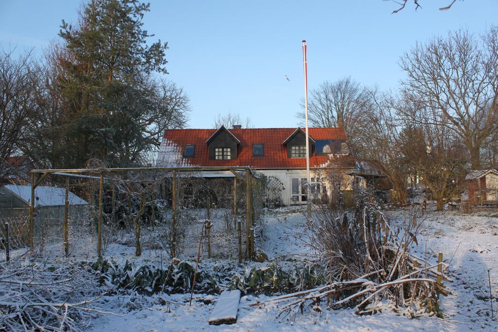 Borup Bed & Breakfast Buitenkant foto